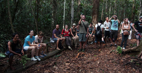 Turisti koukají na krmení orangutanů
