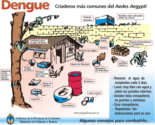 Dengue nic složitého není. Prostě se vyskytuje v loužích a všelijaké jiné stojaté vodě. Komár se napije vody a pak Vás ďobne.