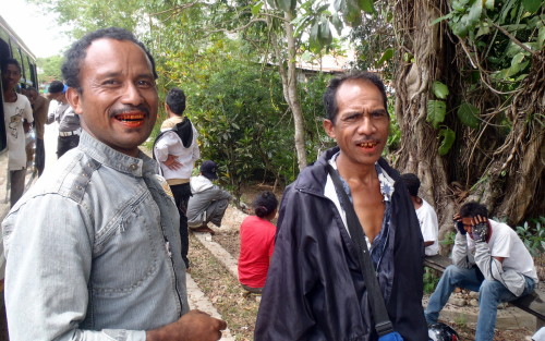 Indonésie západní Timor rudý pusy