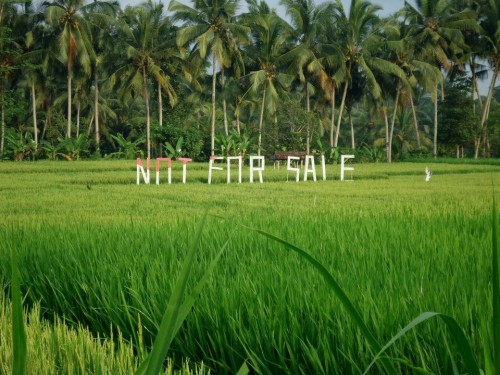 Tady u města Ubud mají místní obdobu farmářky Havránkové. Prostě ten pozemek neprodá.