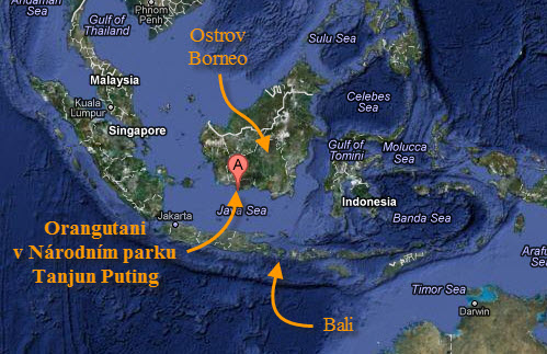 Orangutani, Borneo, Bali - Mapa