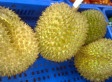 Durian